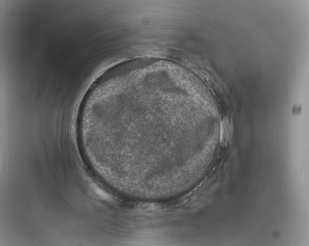 X0000097660195200803211927