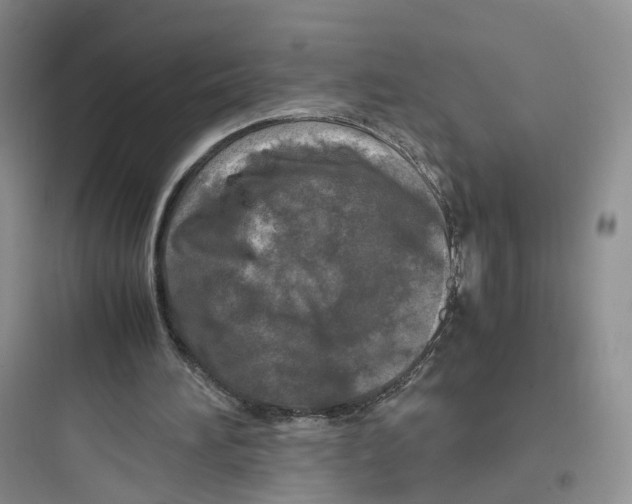 X0000097660196200803211927