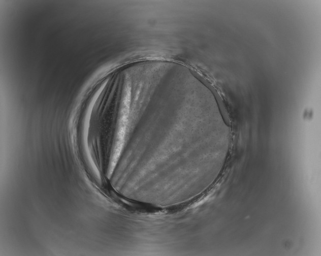 X0000097660197200803211927