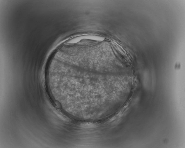 X0000097660198200803211927