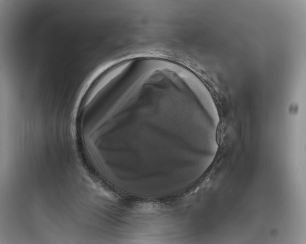 X0000097660200200803211927