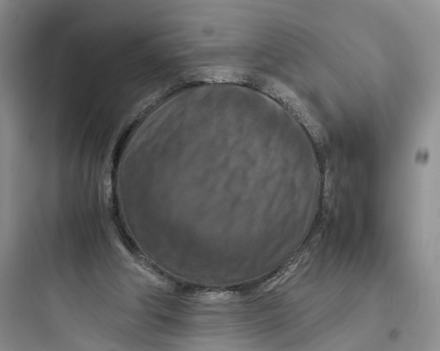 X0000097660202200803211927