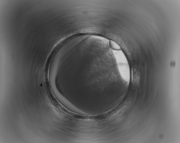 X0000097660204200803211927