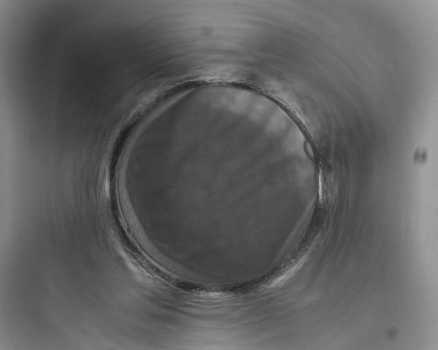 X0000097660205200803211927