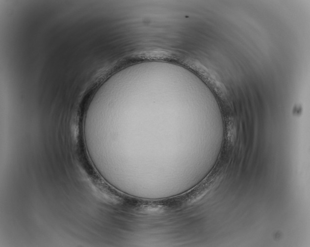 X0000097660206200803211927