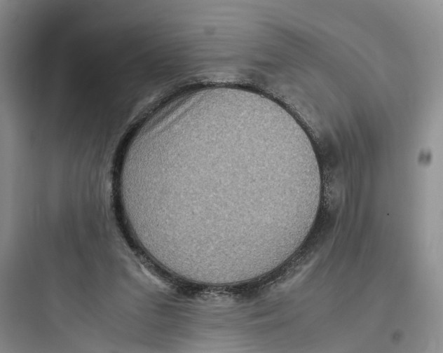 X0000097660207200803211927