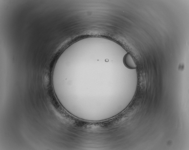 X0000097660208200803211927