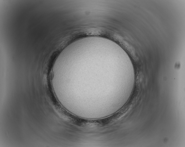 X0000097660209200803211927