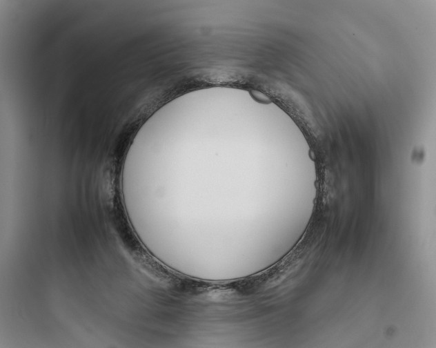 X0000097660210200803211927