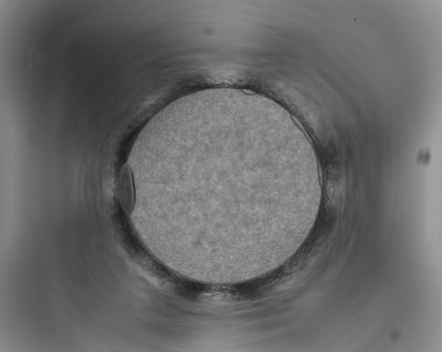 X0000097660211200803211927
