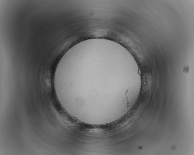 X0000097660212200803211927