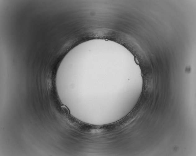 X0000097660216200803211927
