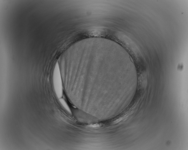X0000097660217200803211927