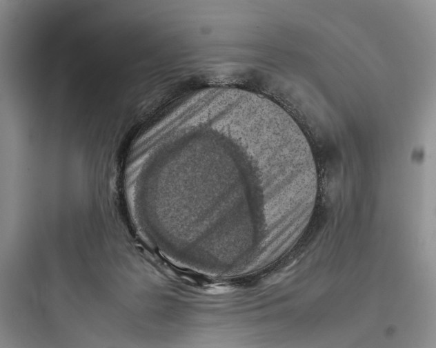 X0000097660219200803211927