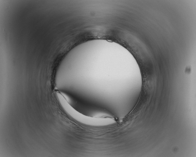 X0000097660221200803211927