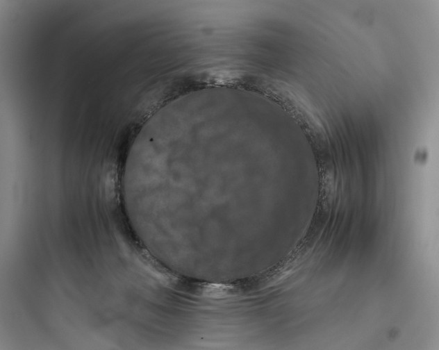 X0000097660222200803211927