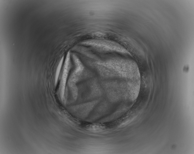 X0000097660223200803211927