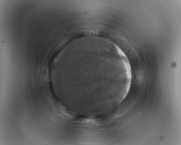 X0000097660224200803211927