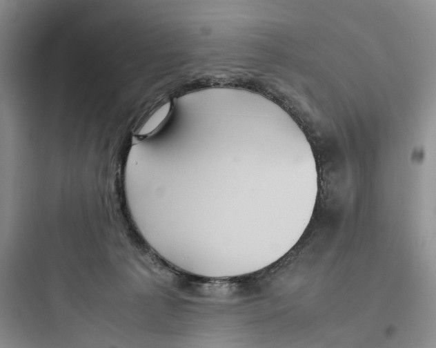 X0000097660225200803211927