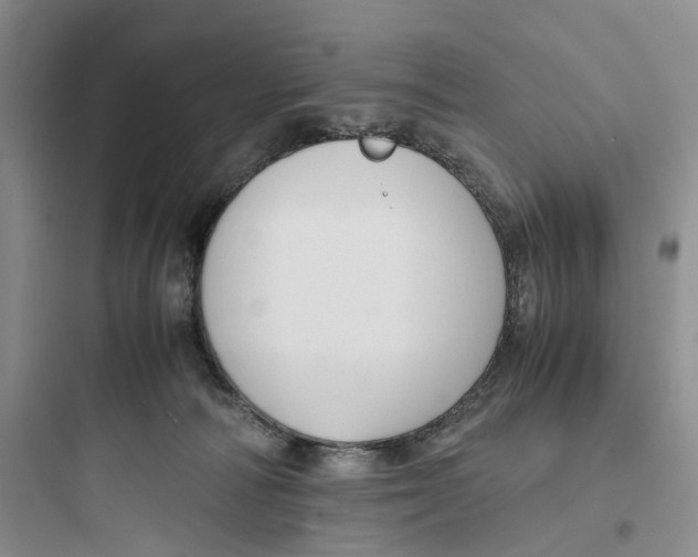 X0000097660226200803211927