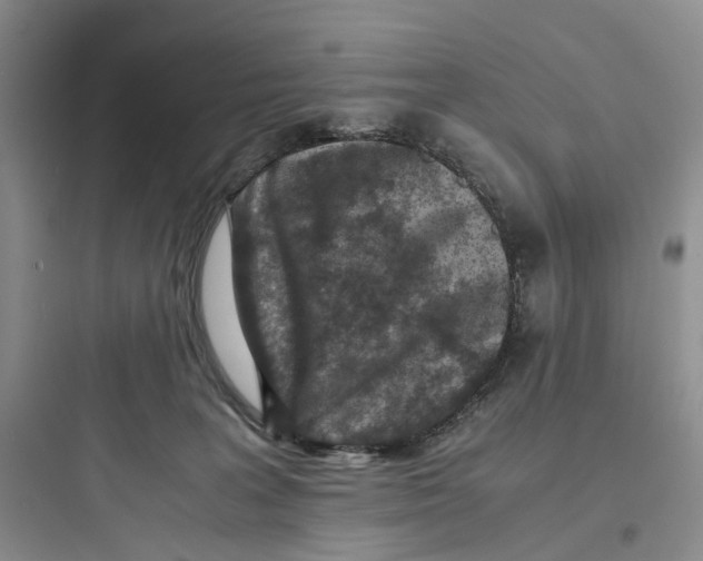 X0000097660227200803211927