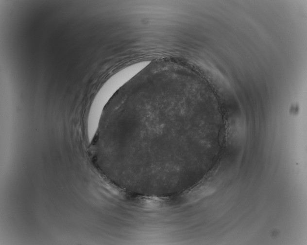 X0000097660229200803211926