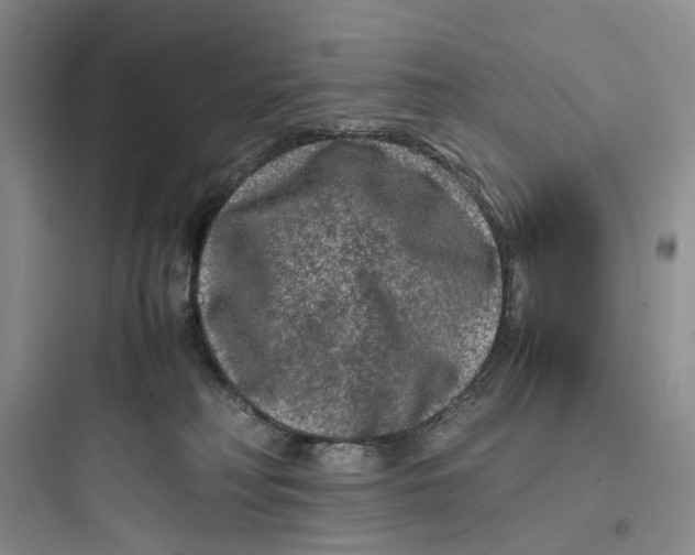 X0000097660230200803211926