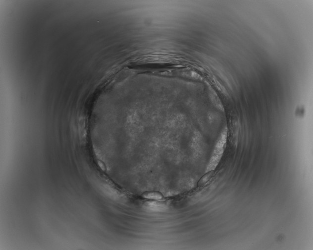 X0000097660232200803211926
