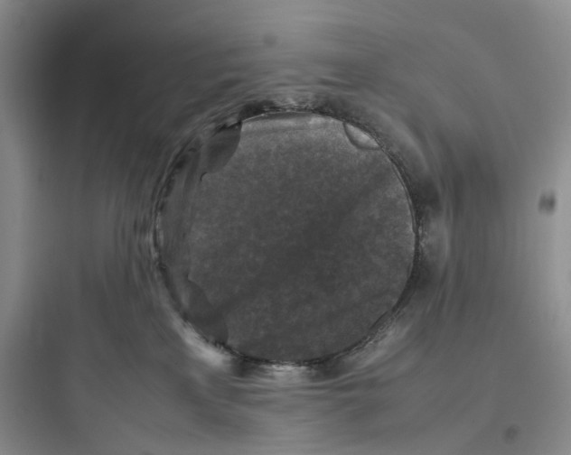 X0000097660233200803211926