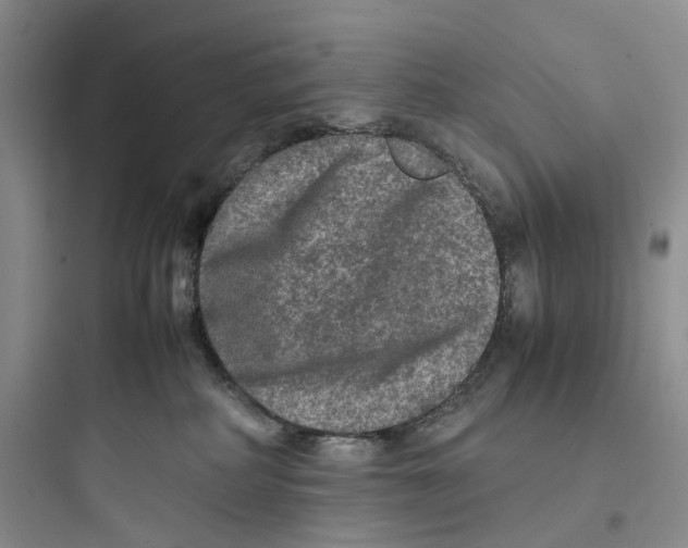 X0000097660234200803211926