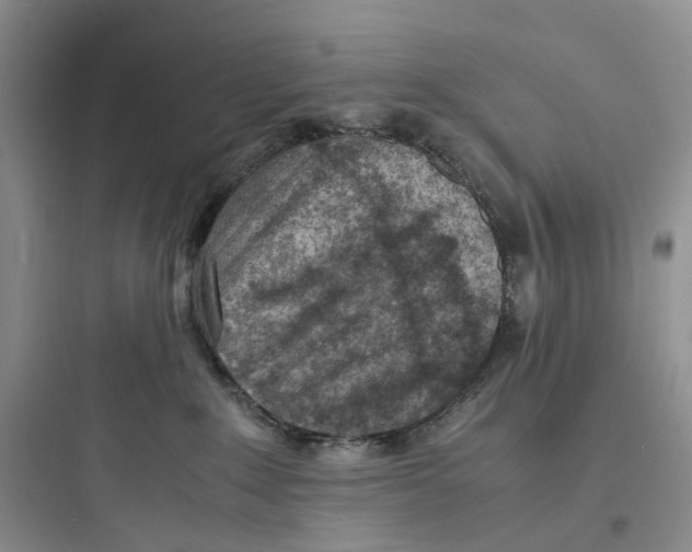 X0000097660235200803211926