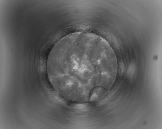 X0000097660236200803211926