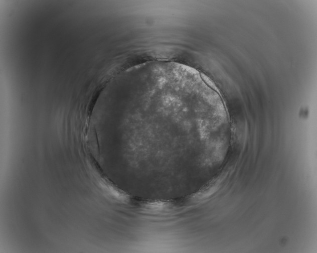 X0000097660237200803211926
