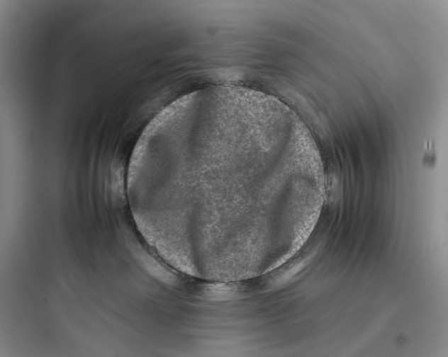X0000097660238200803211926