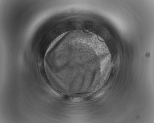 X0000097660239200803211926
