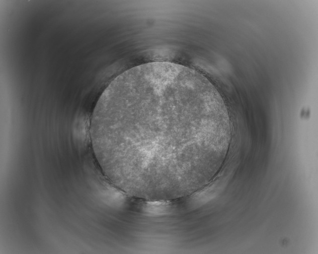 X0000097660240200803211926