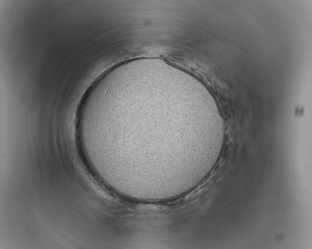 X0000097660242200803211926