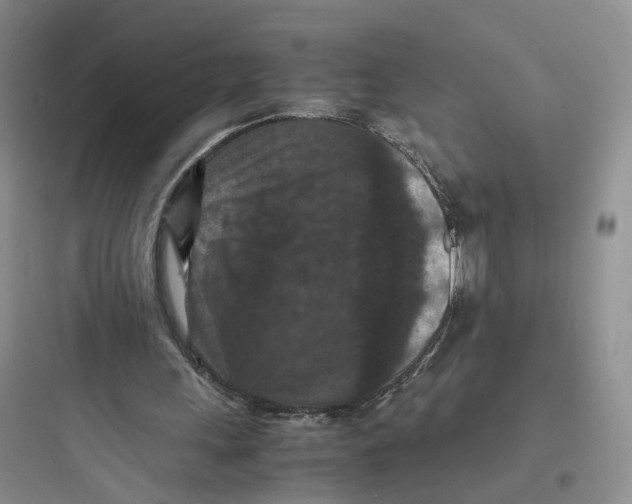 X0000097660243200803211926