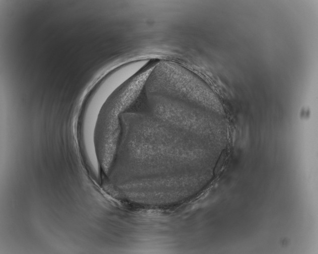 X0000097660244200803211926