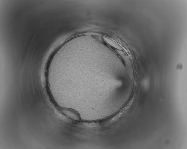 X0000097660245200803211926