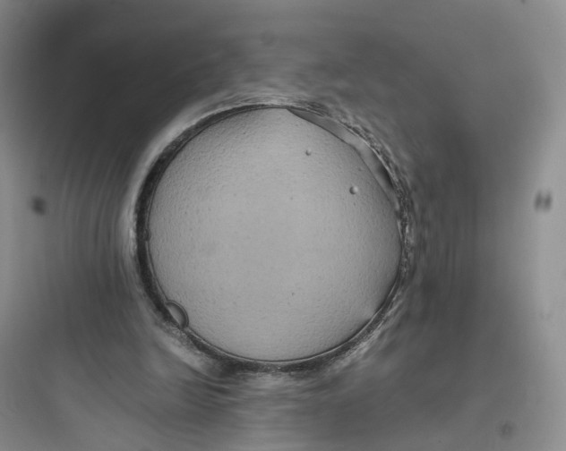 X0000097660246200803211926