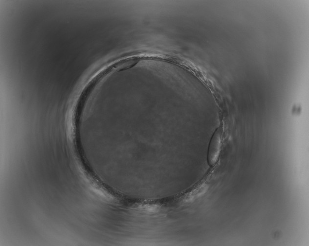 X0000097660247200803211926