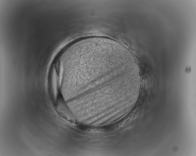 X0000097660248200803211926