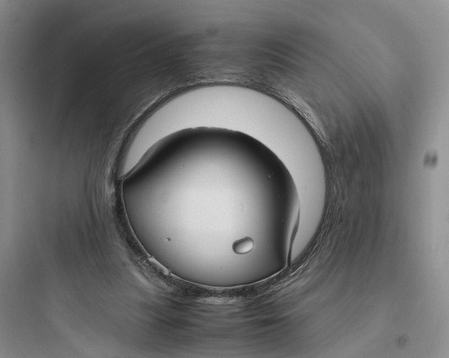 X0000097660251200803211926