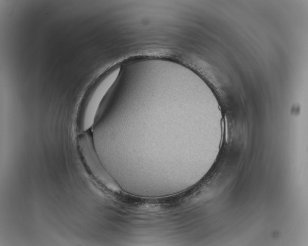 X0000097660252200803211926
