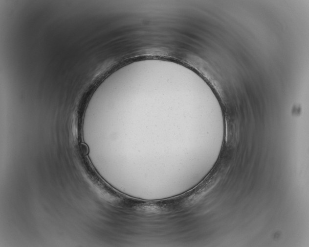X0000097660253200803211926