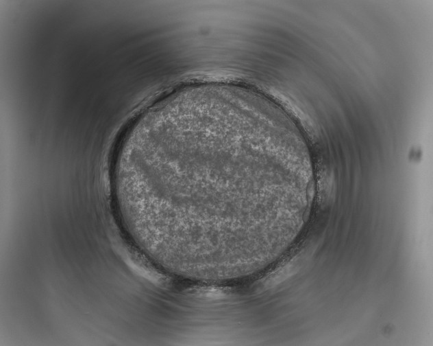 X0000097660254200803211926