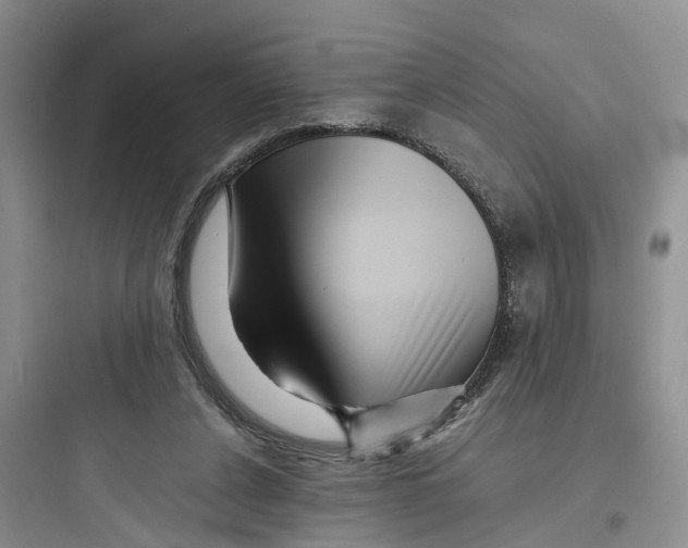 X0000097660256200803211926