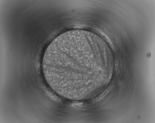 X0000097660257200803211926