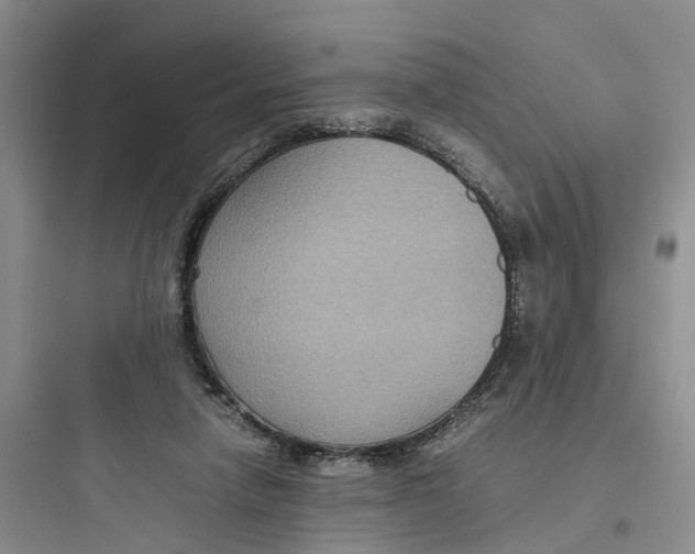 X0000097660258200803211926